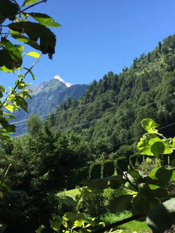 Mountains